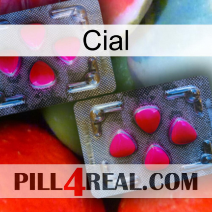 Cial 15